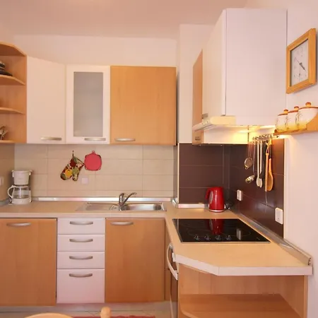 Apartment Vojka In Center