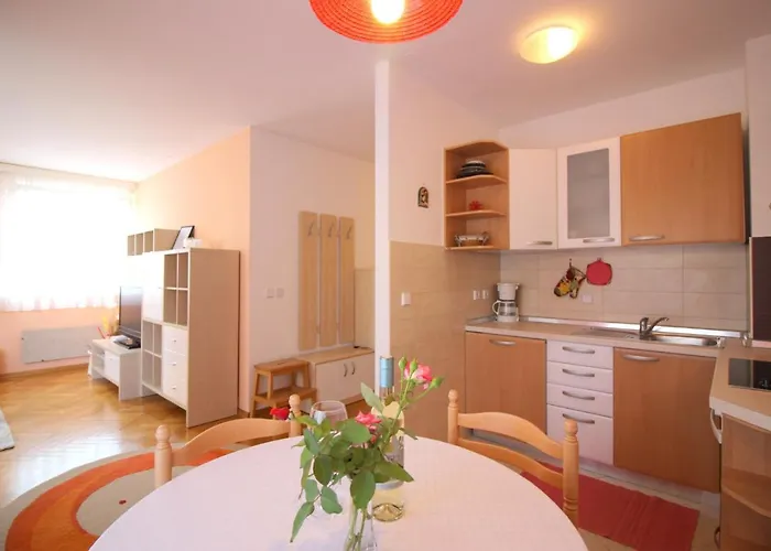 Appartement Vojka In Center Poreč